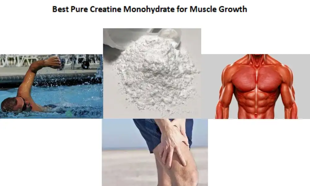 Best Pure Creatine Monohydrate for Muscle Growth